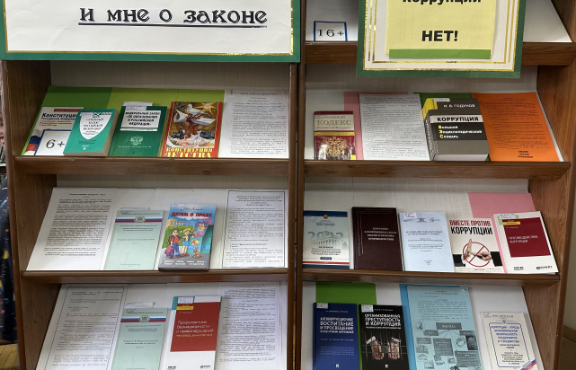 Всероссийский день правовой помощи детям 7