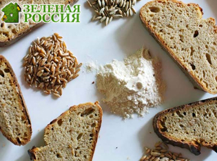 Новое исследование: непереносимость глютена связана с взаимодействием кишечника и мозга, а не с самим глютеном