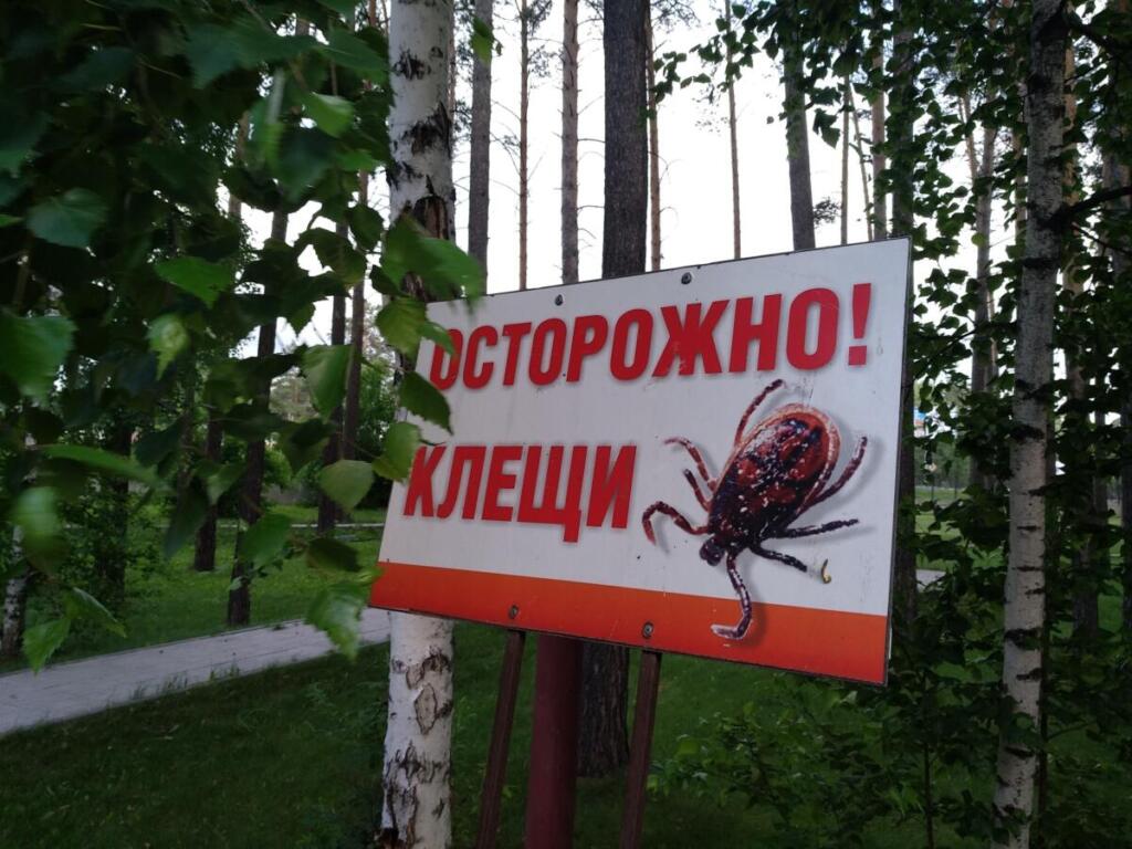 Осторожно! Клещи