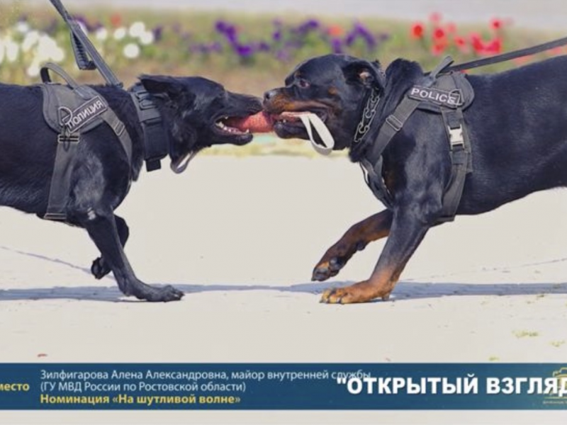 PNG Файл