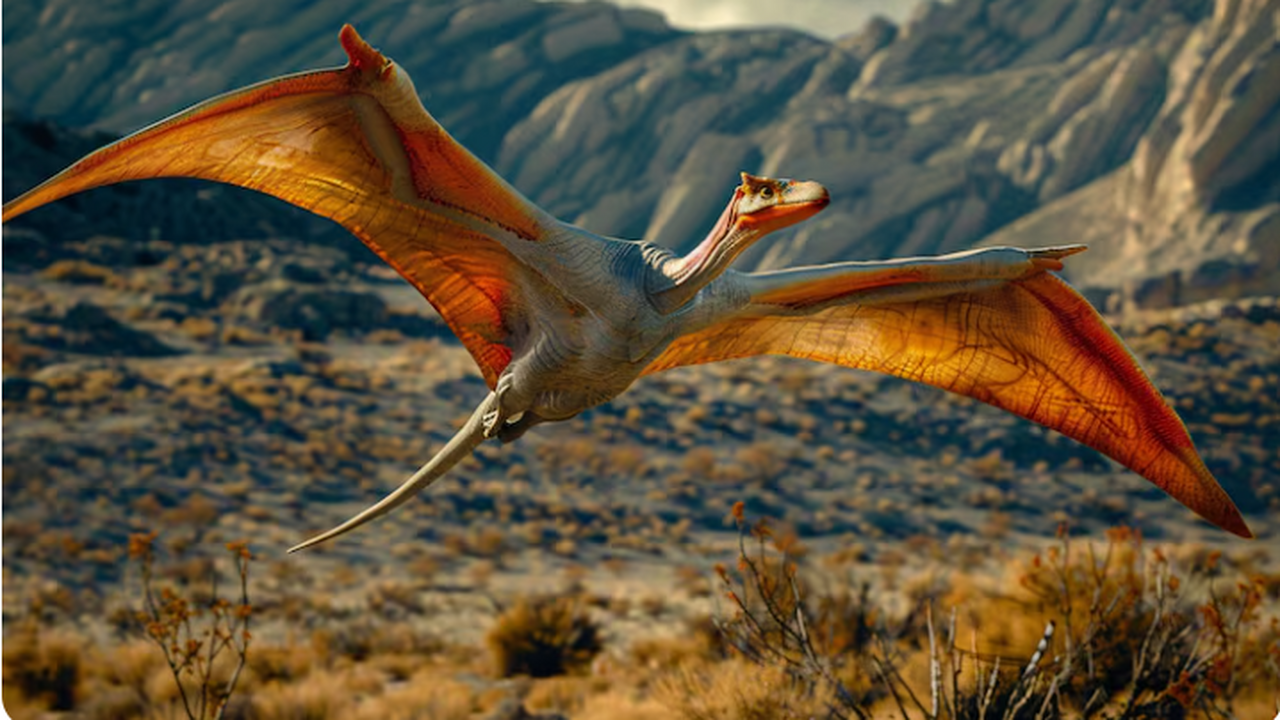 Международная группа палеонтологов объявила об ...