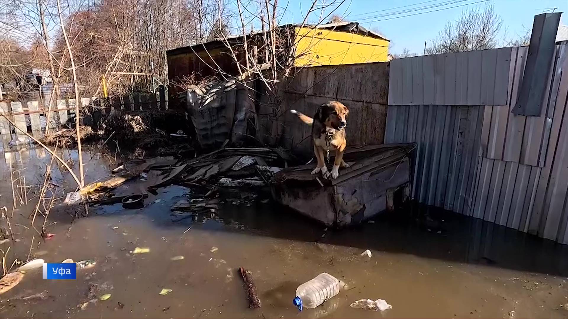 Пик паводка близок: в Башкирии затопило уже более тысячи садовых участков - сюжет 