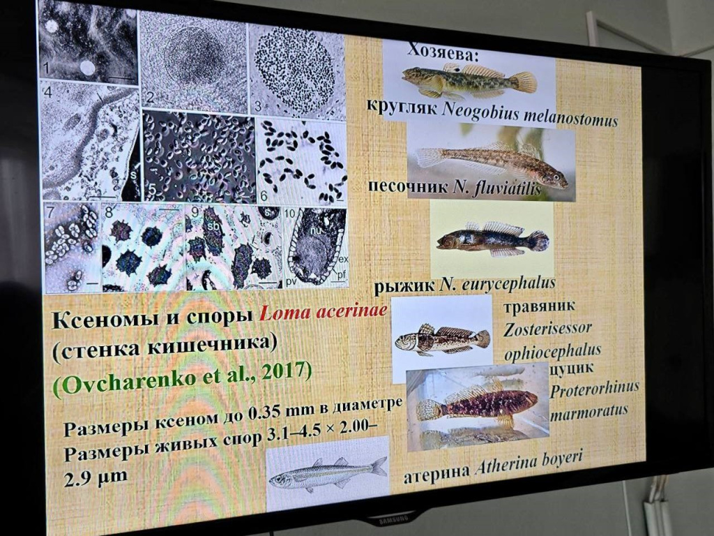 Юрахно - Керчь 3.jpg