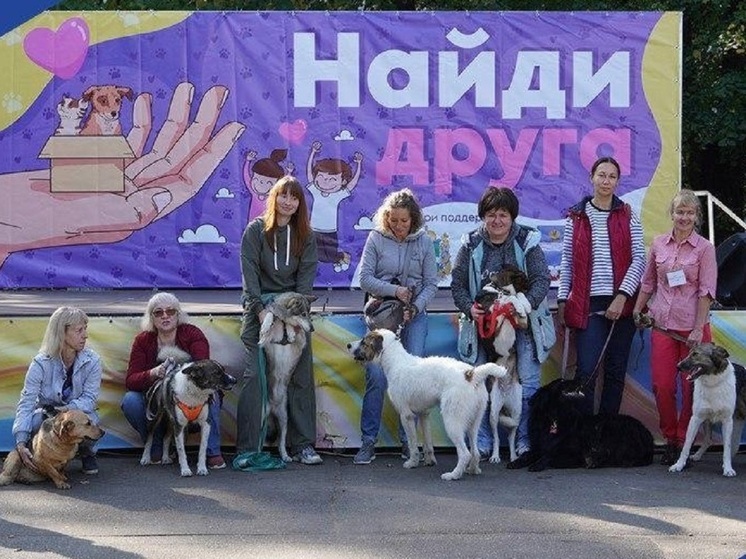 В Калуге шесть собак нашли новых хозяев на ярмарке по пристройству животных