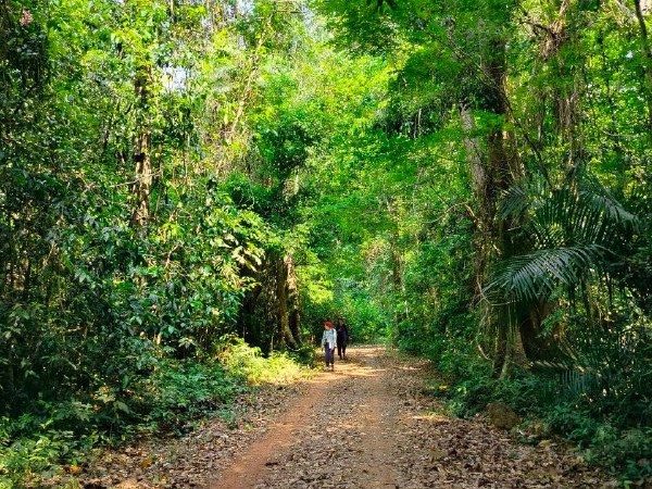 _Кат тьен 1.jpg