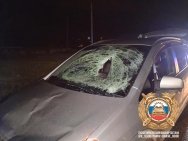 В Башкирии молодой водитель насмерть сбил пешехода