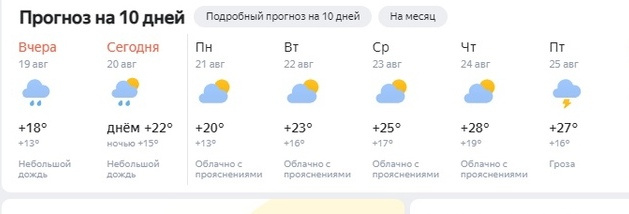 Прогноз погоды новосибирск 10 дней самый точный. НГС погода. Погода в Новосибирске на 20 дней.
