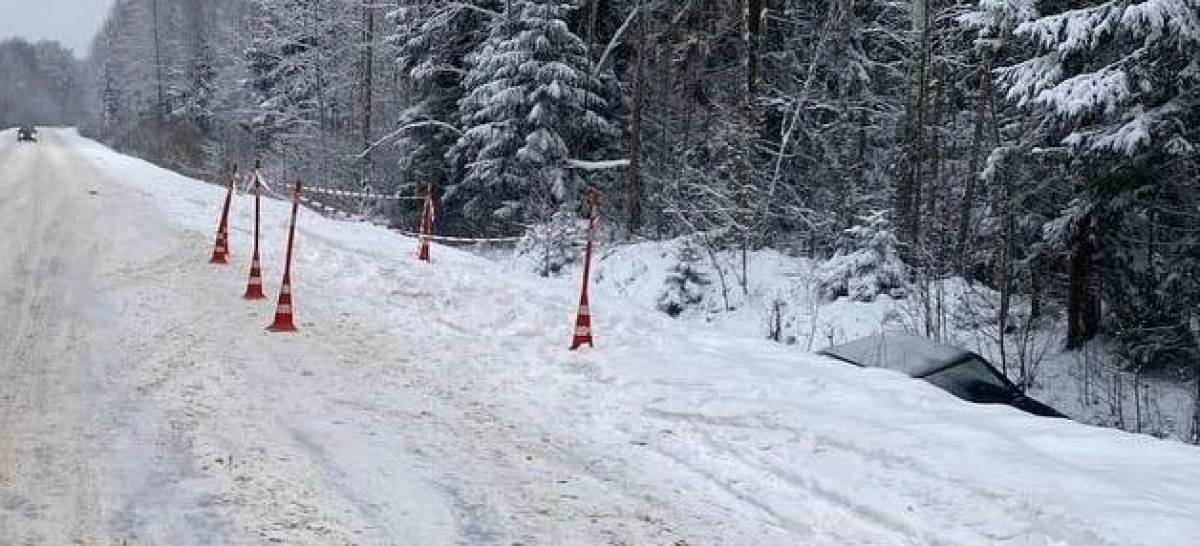 В аварии пострадал водитель.