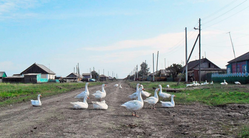 Чуваши северного района новосибирской области. Чувашия деревня сиделево. Село чуваши новосибирская область. Деревня биаза северного района новосибирской области. Коршуниха кирово-чепецкий район.