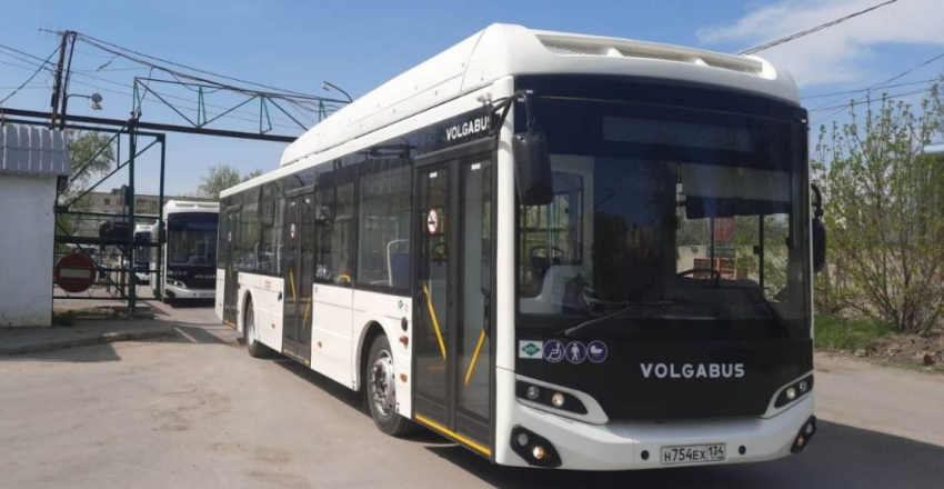 Новые автобусы с кондиционерами пустили по маршрутам в Волжском