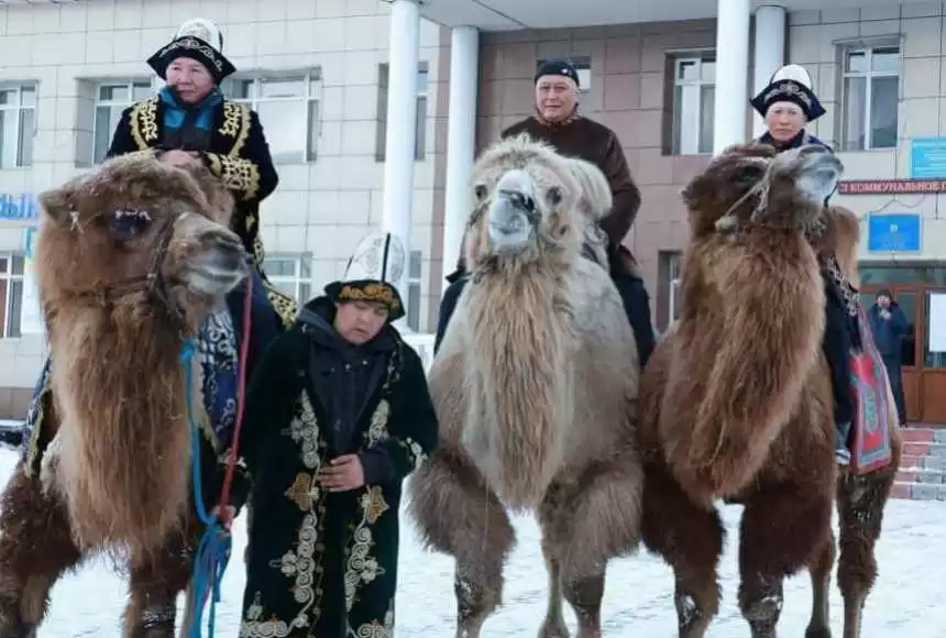 Верблюдоводы голосуют в Талдыкоргане