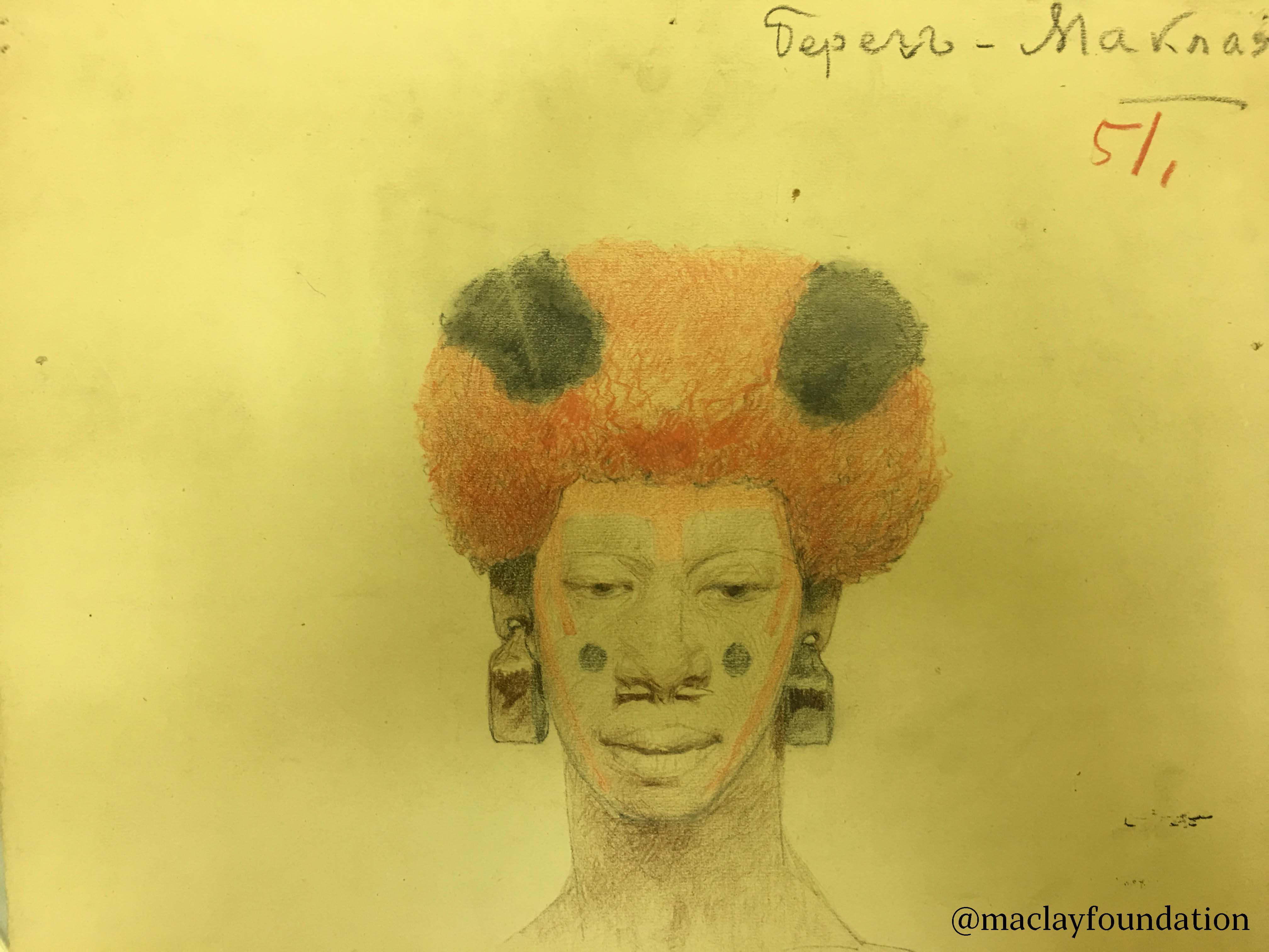 Маклай миклухо рисунок