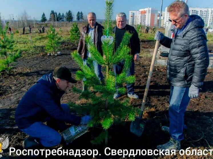 В Нижнем Тагиле высадили новые деревья на аллее 100-летия Госсанэпидслужбы
