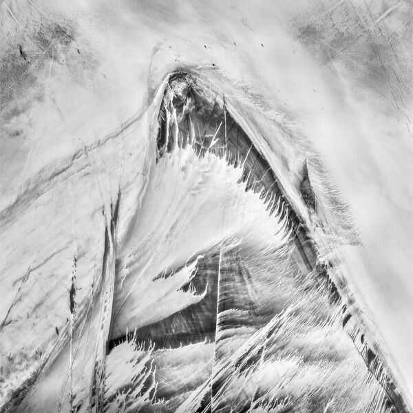 Приз в номинации Black & White Award получила Барбара Браун из Австралии. - Sputnik Абхазия