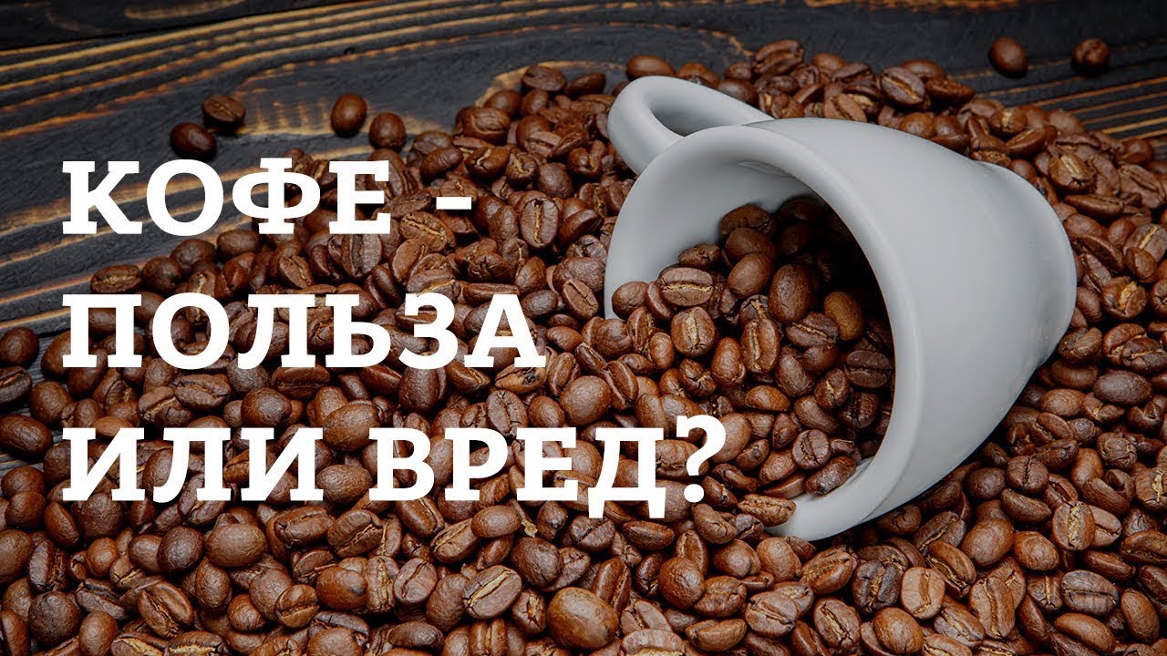 Как влияет кофе на организм человека проект Coffee - harm for an organism! Health Seldon News