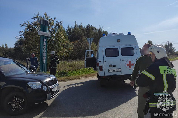 В Палехском районе столкнулись два автомобиля