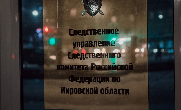 Следком начал проверку из-за нападения собаки на ребёнка в Яранске