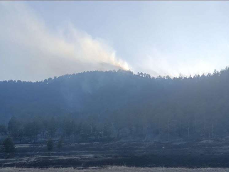 В Бурятии обнаружено два лесных пожара