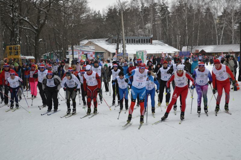 Спорт воронежской области. Лыжня России Воронеж. Лыжные гонки в Воронеже ВК. Лыжная трасса в Бутурлиновке. Лыжные гонки в Мещерском парке.