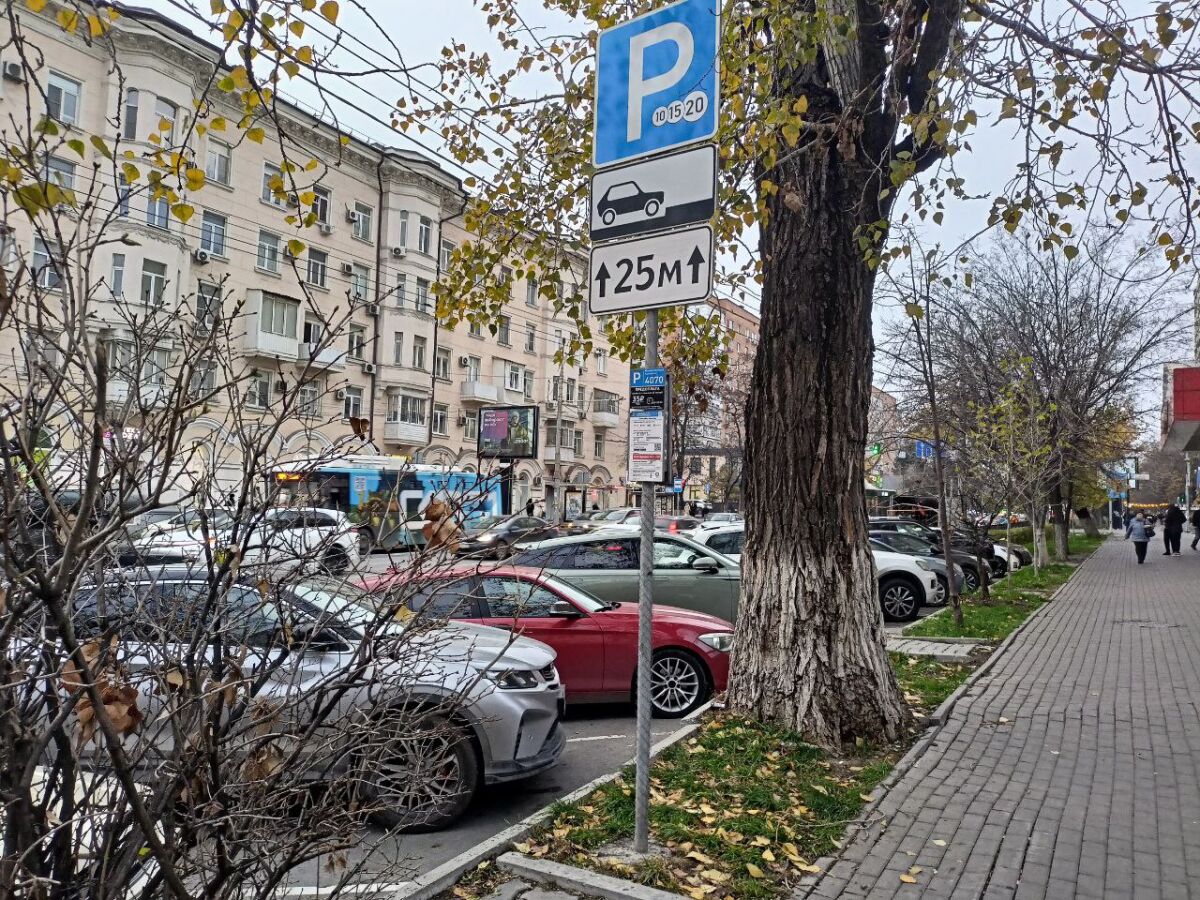 В Ростове с начала года составили 941 протокол за парковку на газонах - фото 1