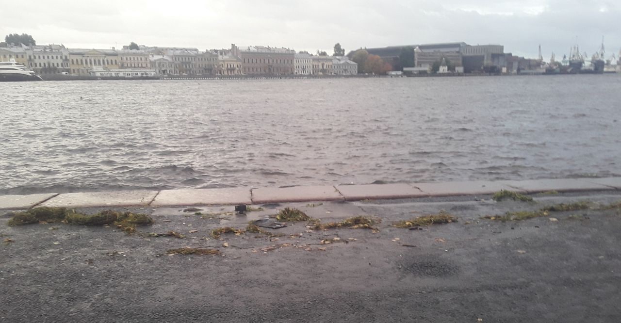 Вода в питере. Уровень воды в Неве. Поднялась вода в Неве. Набережная Невы в Санкт-Петербурге. Затапливает Санкт-Петербург.