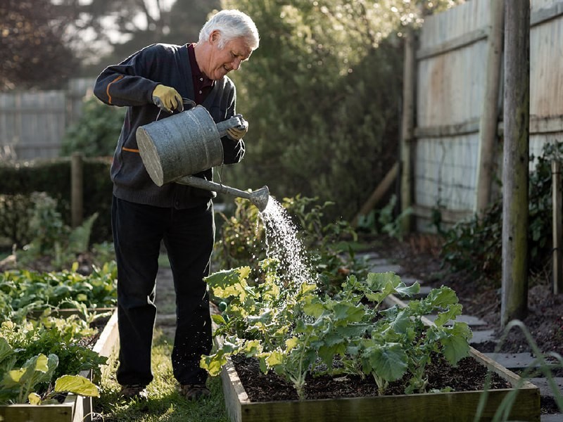 В Общественной палате оценили идею добавить предпенсионерам неделю отпуска