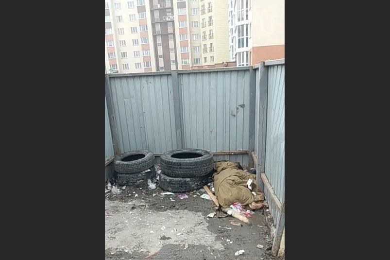 В Южно-Сахалинске обнаружили труп собаки: что делать в случае потери питомца