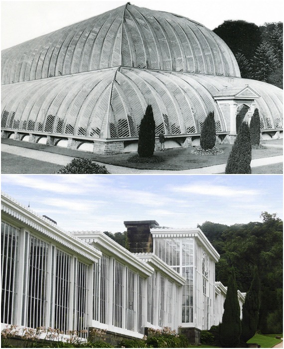 Реальные проекты из стекла британца Джозефа Пакстона – популярнейшего и талантливейшего зодчего, ландшафтного архитектора и непревзойденного мастера по благоустройству садово-парковых территорий.