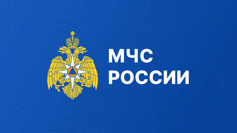 МЧС России создает единую цифровую систему для управления силами и средствами пожарно-спасательных гарнизонов