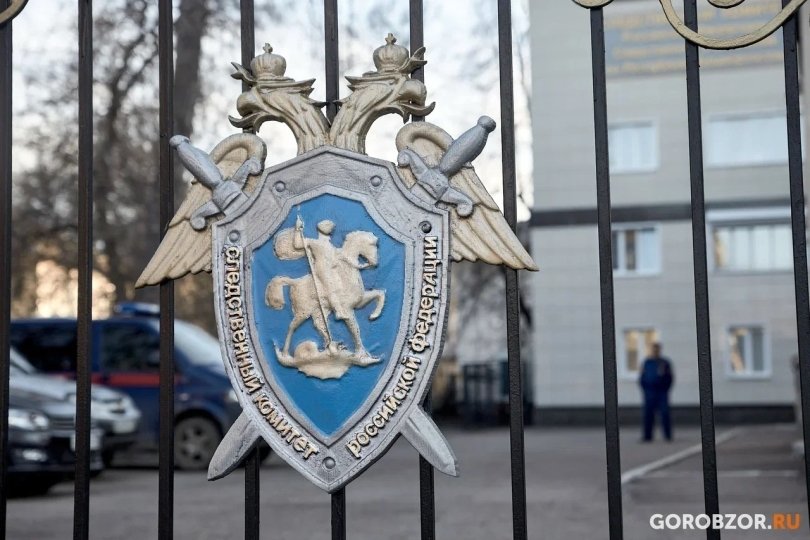 Бастрыкин рассмотрит дело об избиении участника СВО в Башкирии