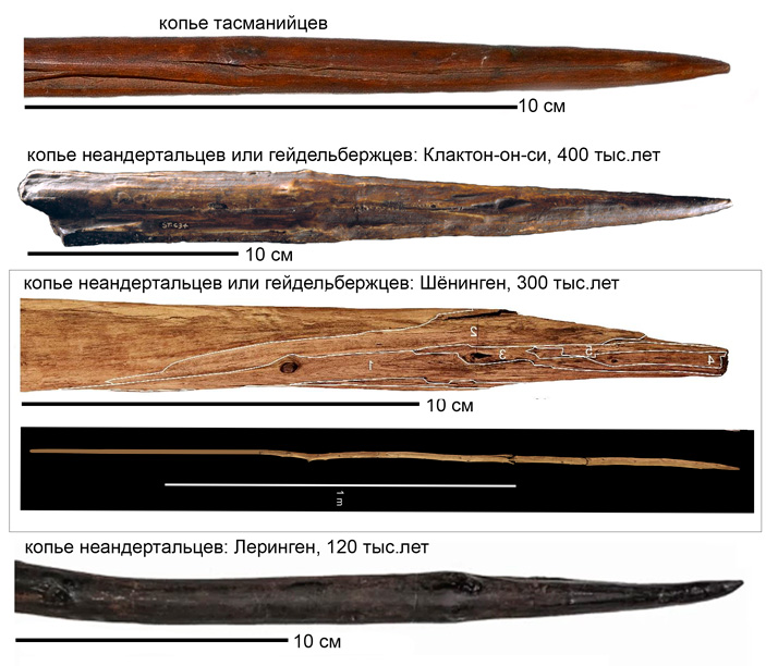 Самые древние деревянные копья в сравнении с копьем тасманийцев