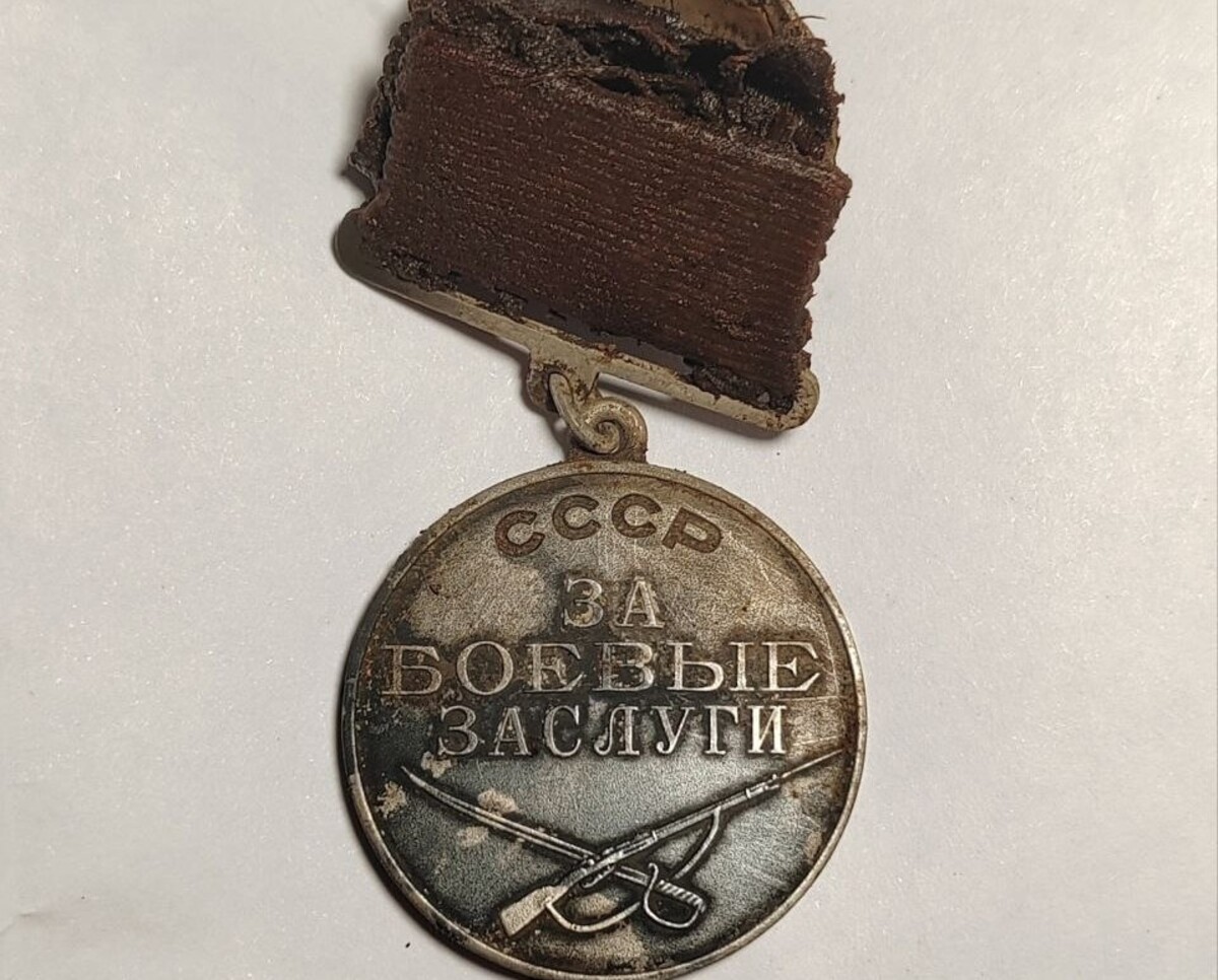 Останки погибшего в годы войны кубанского бойца нашли в Новгородской области