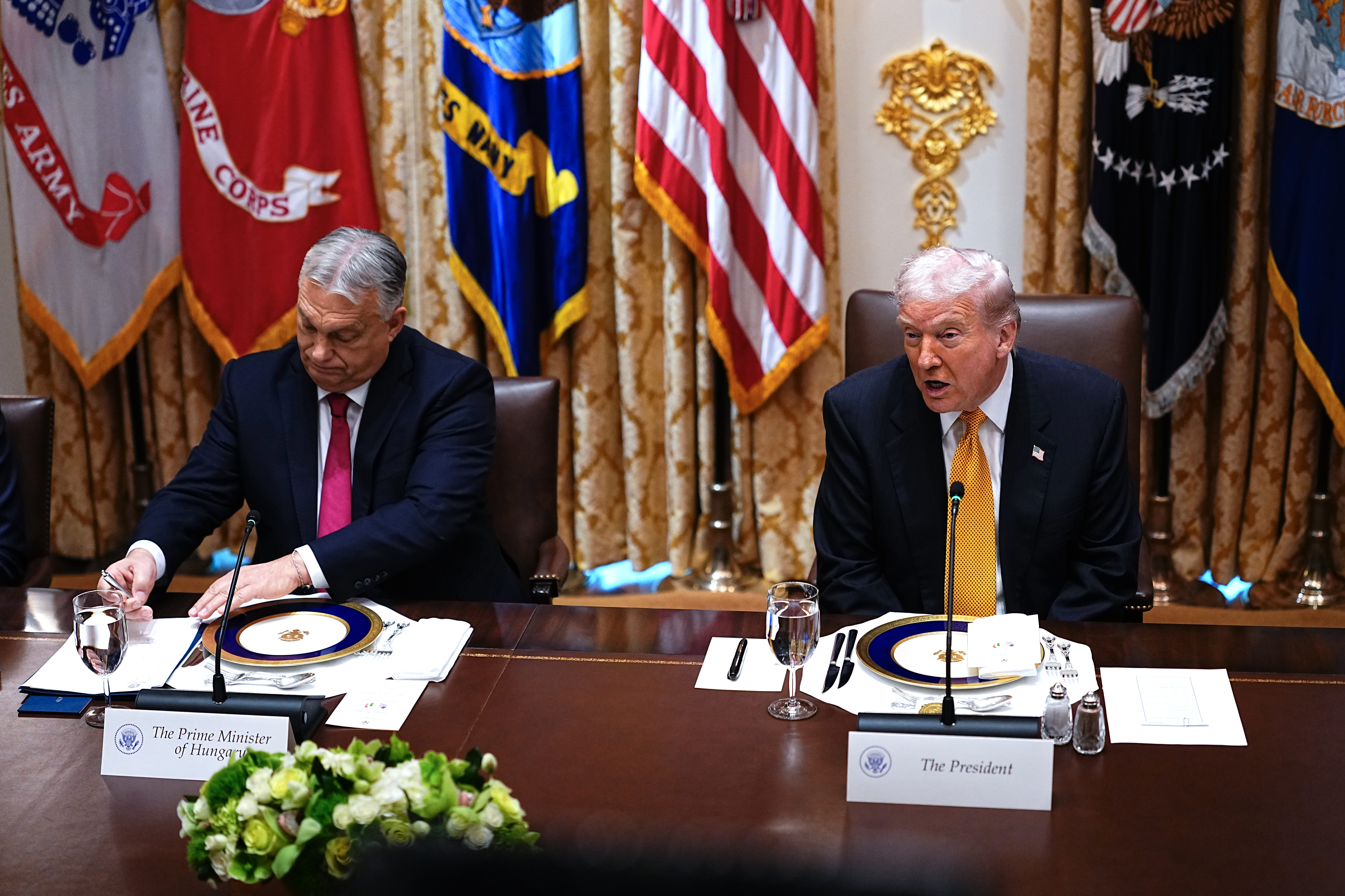 Виктор Орбан и Дональд Трамп