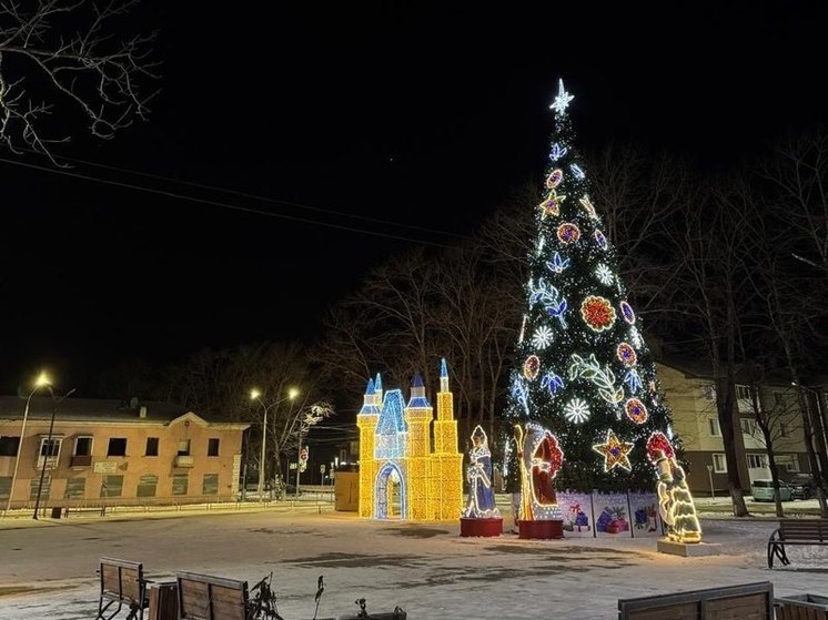 В Долинске 21 декабря зажгут главный символ Нового года