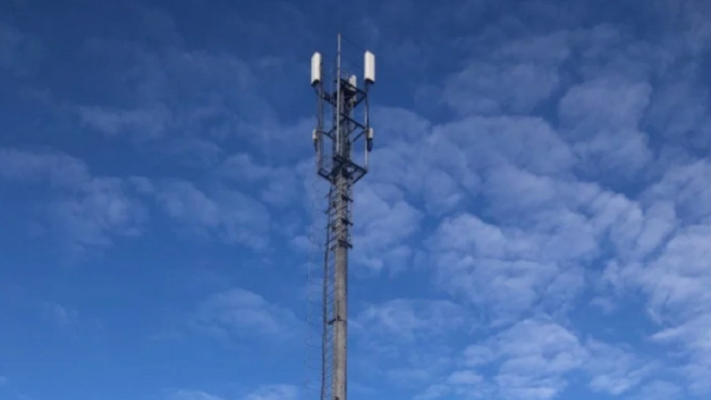 Фото: Правительство Алтайского края