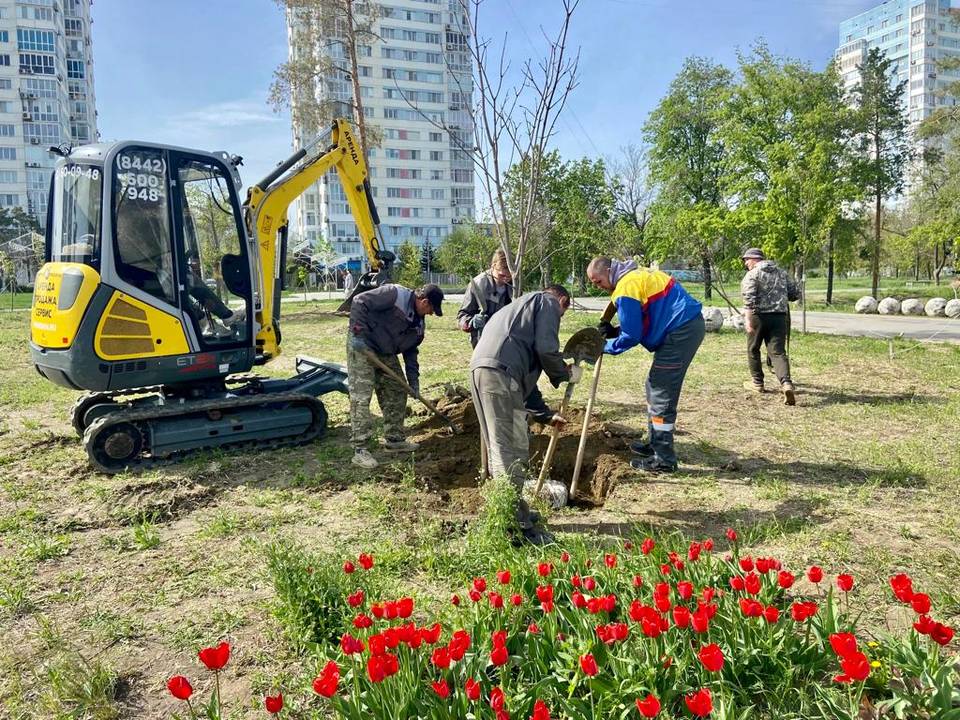 План парка цпкио волгоград