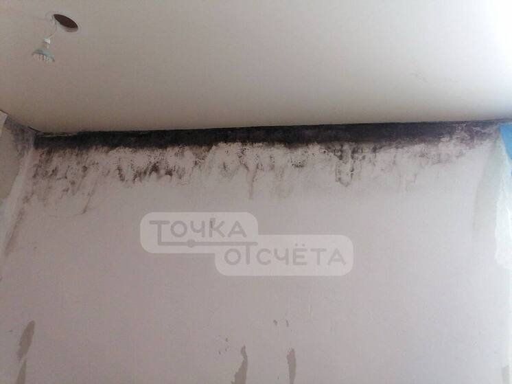 Семья с ребёнком-астматиком на Сахалине просит переселить их из заражённой плесенью квартиры