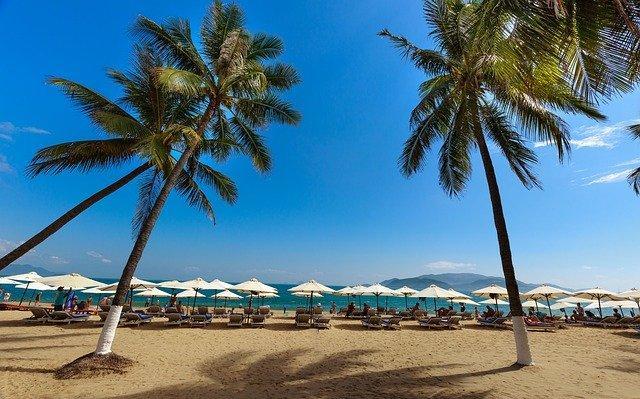 Пермяки смогут без пересадок до конца октября улететь в Египет, Турцию и Вьетнам