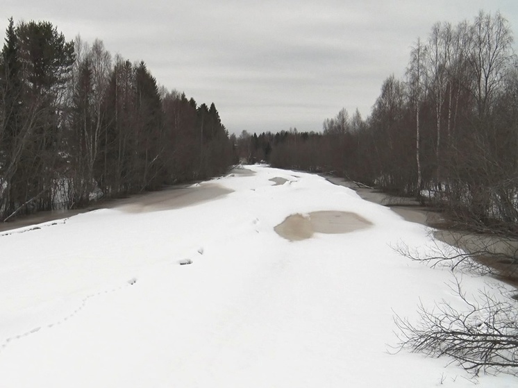 Дачников Новодвинска предупреждают о паводке