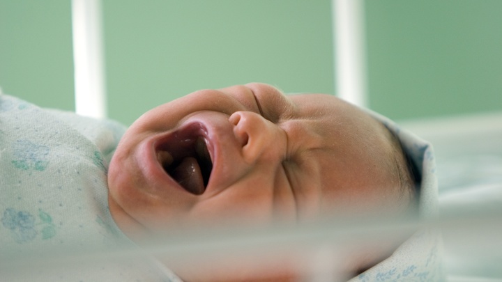 Родителей ждут крупные выплаты от государства в 2024 году: Кому доступны?