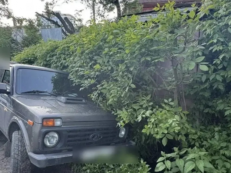 JPG Файл