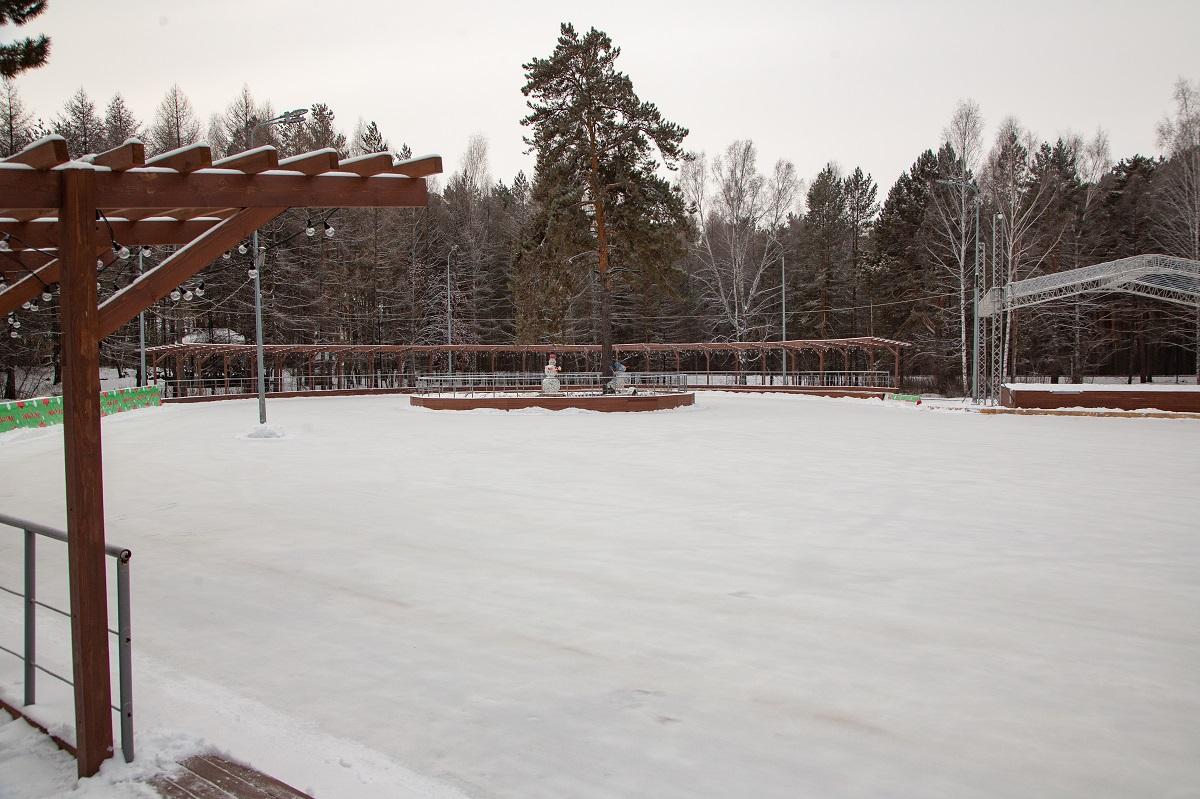 Заельцовский парк новосибирск зимой