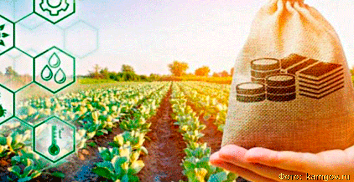 Камчатские аграрии в этом году набрали кредитов почти на миллиард рублей