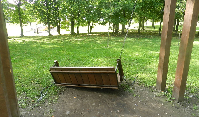 В Тверской области вандалы сломали качели в общественном парке