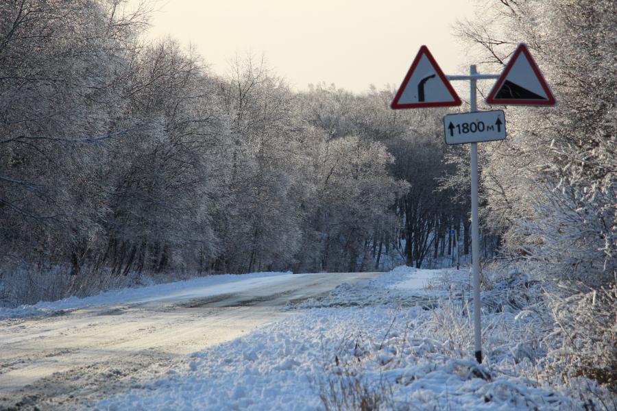 фото: KONKURENT.RU | Известный синоптик рассказал, какой может быть зима 2025 года