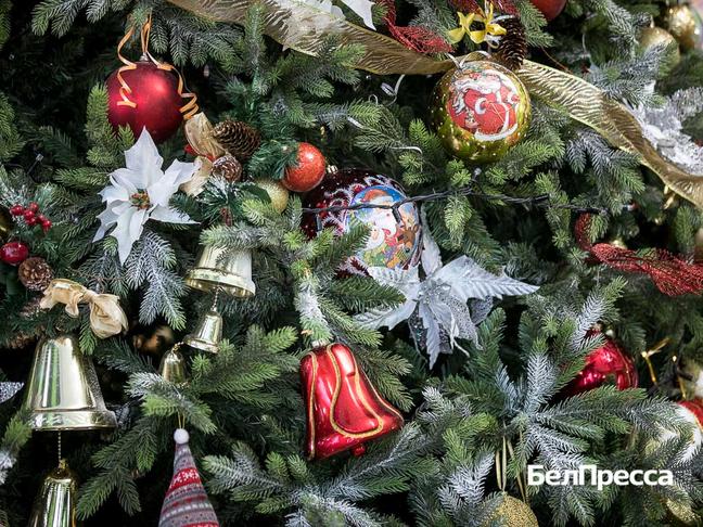 Как отдохнуть белгородцам 8–11 января - Изображение 1