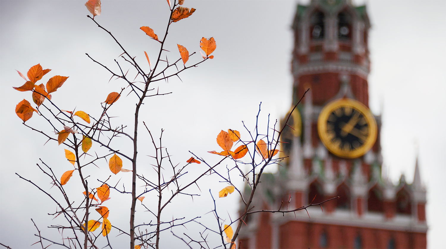 Ноябрь в москве картинки