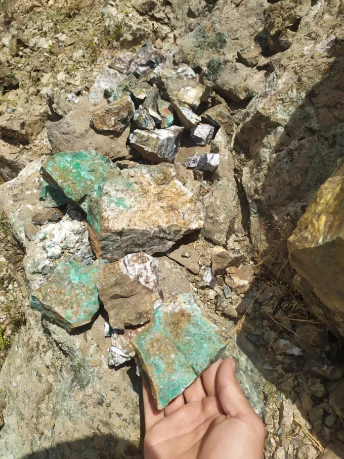 Геологи собрали образцы горной породы