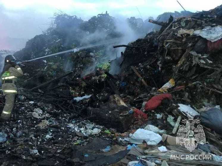 В Новосибирске возбудили уголовное дело из-за пожара на мусорном полигоне