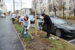 благоустройство,ЖКХ. Фото 5.